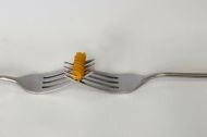 Kalman Honvari   Buon Appetito
